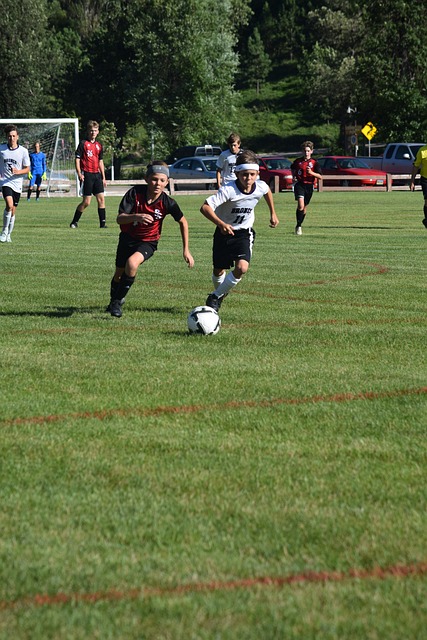 了他的卓越 了他的卓越