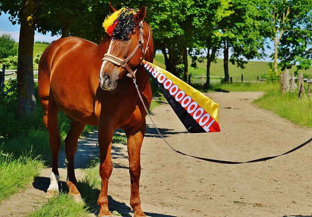 更是让对手 更是让对手