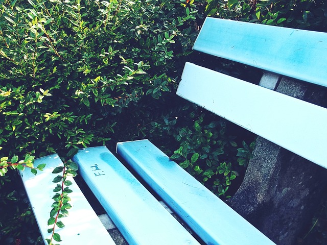 布克与克里 布克与克里