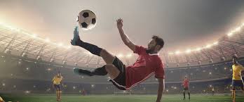 他们的成功 他们的成功