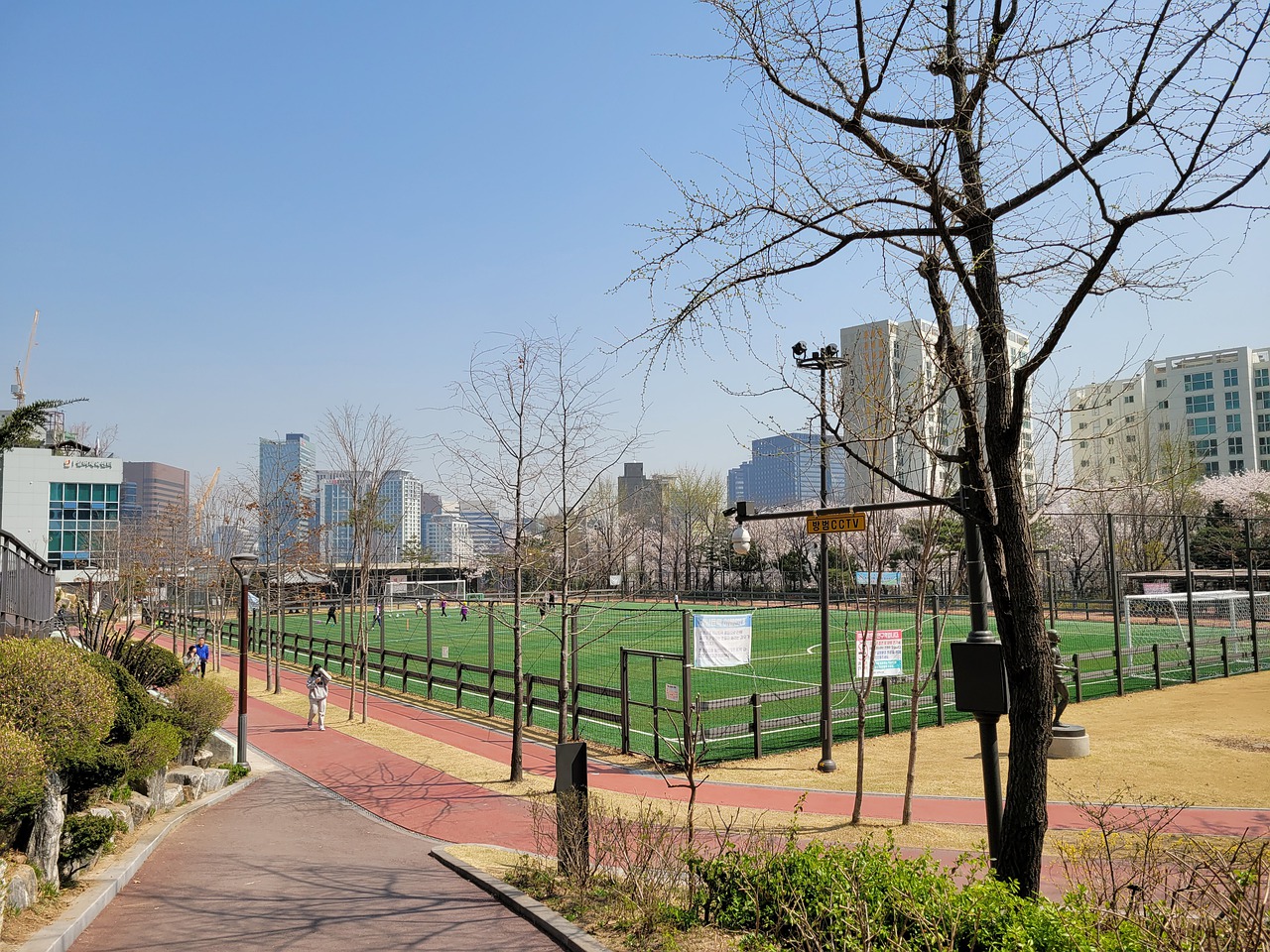 羽的历史 羽的历史