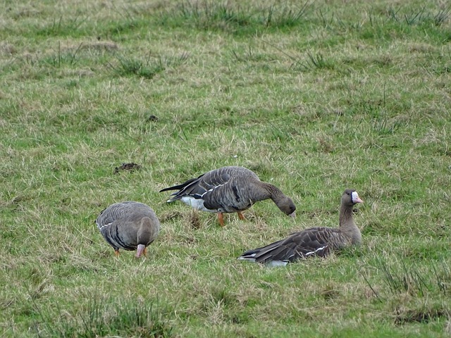 将复出定位 将复出定位