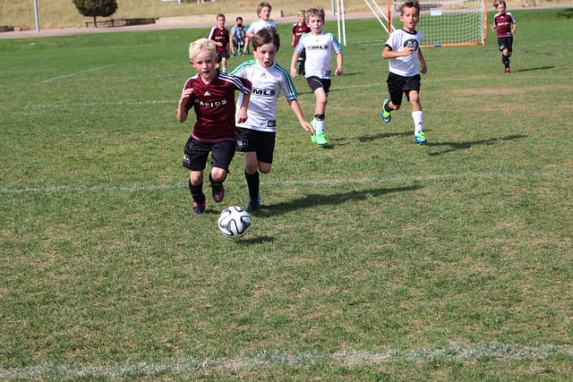 的皮尔洛来 的皮尔洛来