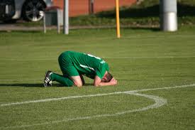 平台进行观 平台进行观