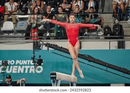 並對外公開 並對外公開